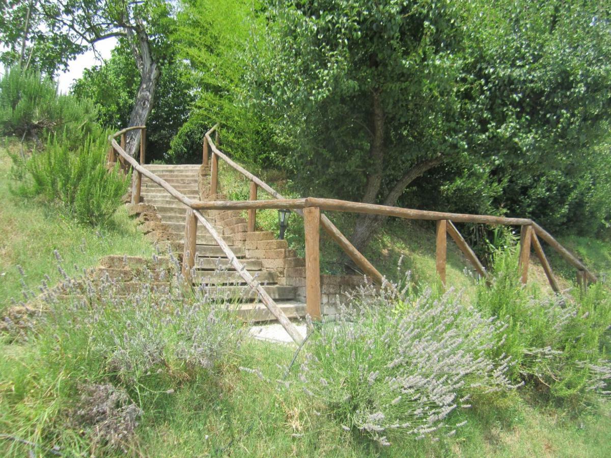 Le Spighe Agriturismo Cesena Exterior photo